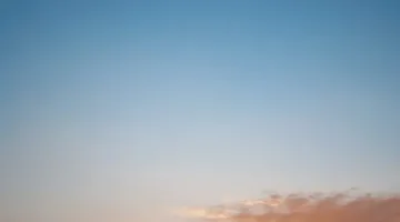 احصل على موعدك في الشهر العقاري أونلاين بخطوات بسيطة!